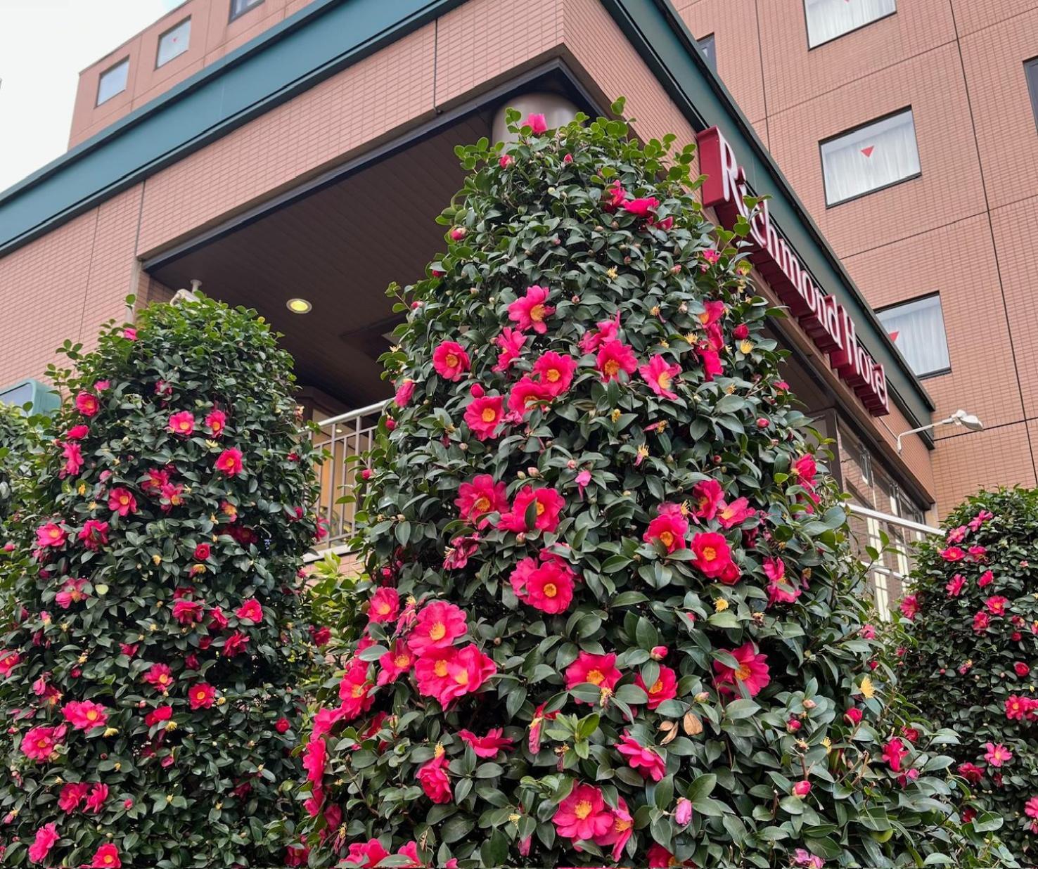 Richmond Hotel Tokyo Musashino Esterno foto